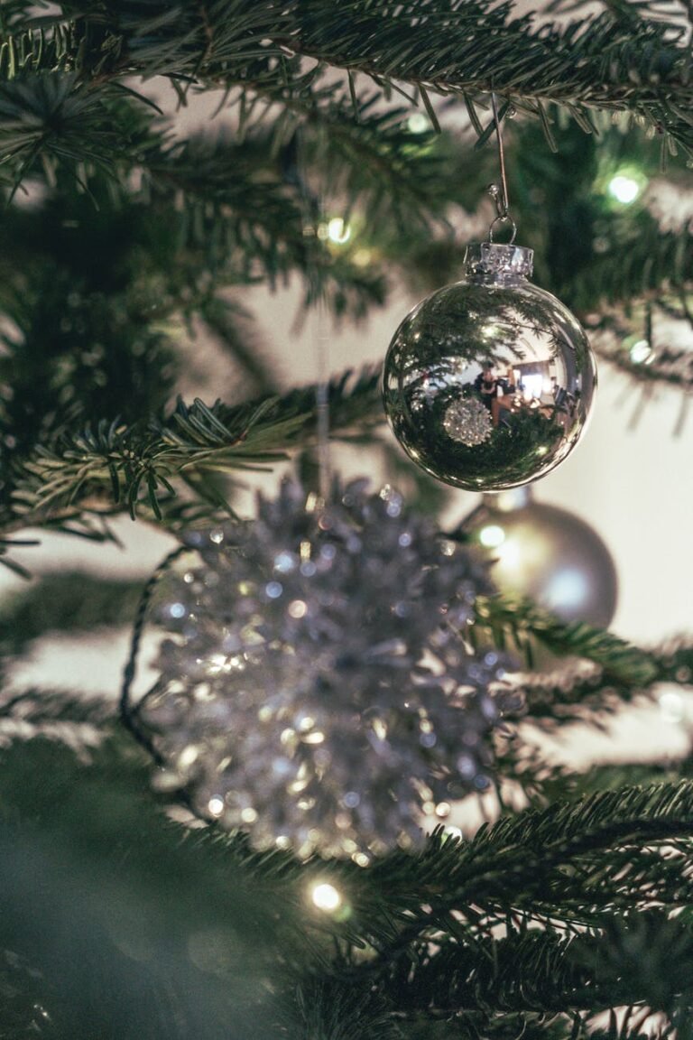 a close up shot of a christmas bauble