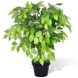 totokkie.de Künstlicher Ficus „Dwarf“ mit Topf – 60 cm