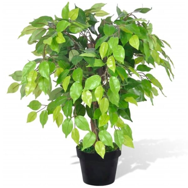 totokkie.de Künstlicher Ficus „Dwarf“ mit Topf – 60 cm